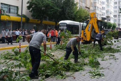 Ağaç Devrildi Tramvay Seferleri Durdu