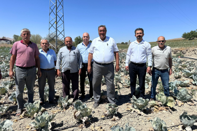 Lahana da Üreticisinin Yüzünü Güldürmedi