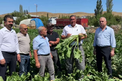 Şeker Pancarı Çiftçisi Fiyat Bekliyor