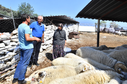 Yangından Etkilenen Köylerin Yaraları Sarılıyor