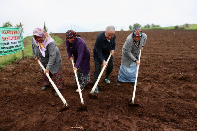 Ordu Tarım ve Hayvancılıkta Çıtayı Yükseltti