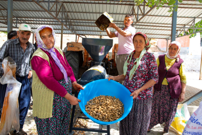 Badem Soyma İşlemi Çile Olmaktan Çıkıyor