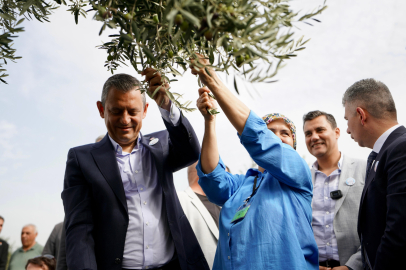 Zeytin Katliamının 10’uncu Yılında Zeytin Şenliği Yapıldı