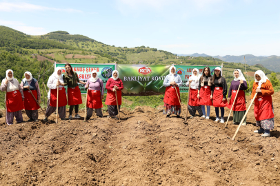 Tarımda Yeni Dönem Kadınların Gücüyle Yazılıyor