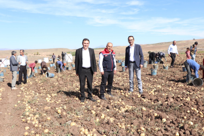 Sivas Tohumluk Patates Üretiminde Birinci Sırada