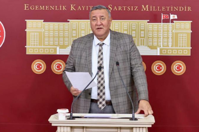 CHP'li Gürer Gıda Zehirlenmelerini Bakan'a Sordu