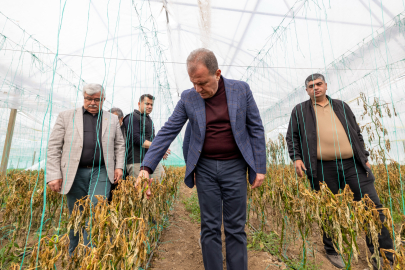 Başkan Seçer, Çiftçilerin Sorunlarını Yerinde İnceledi