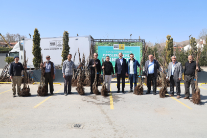 Konya Büyükşehir'den Çiftçilere 72 Bin Meyve Fidanı